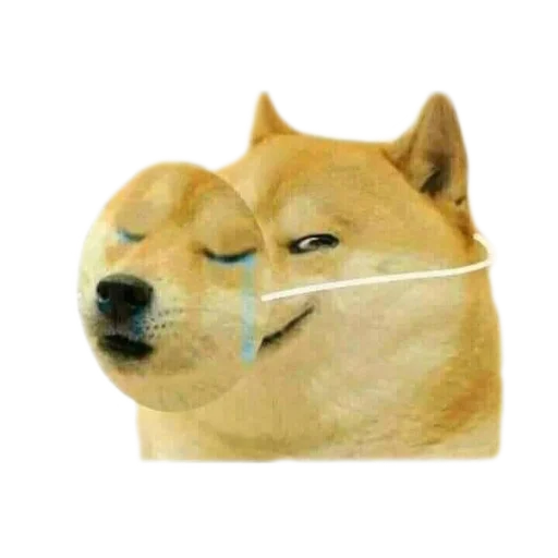 Стикер мемные собаки - 3