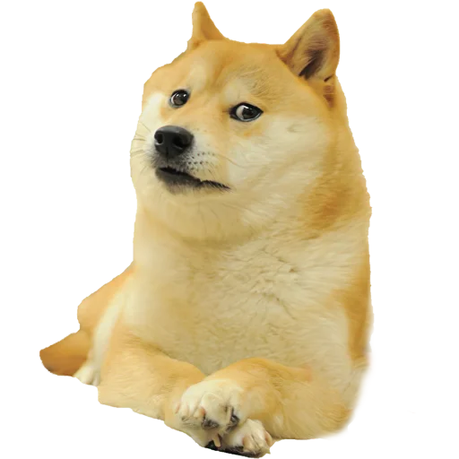 Стикер мемные собаки - 2