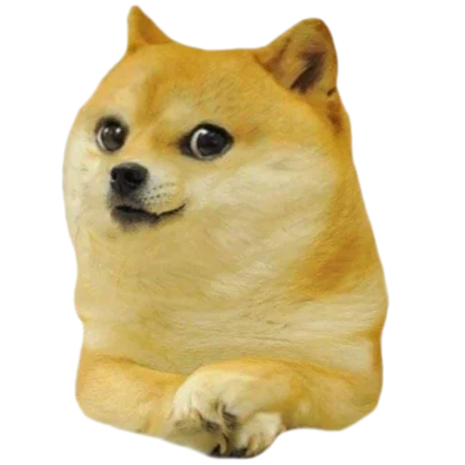 Стикер мемные собаки - 1