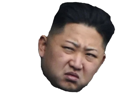 human face forehead chin