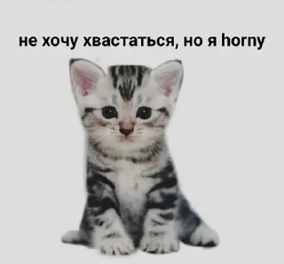 Стикер @exzentriya - 1