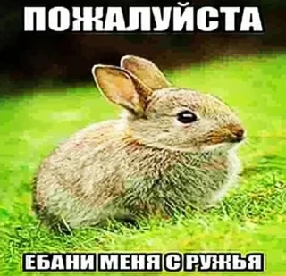 Стикер @exzentriya - 9