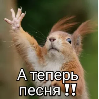 Стикер eyF_jGOVo4 - 7