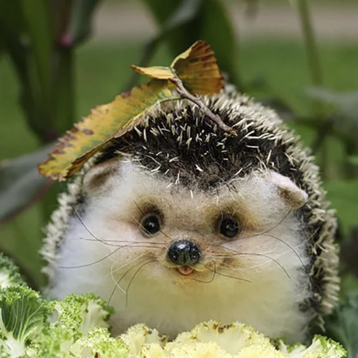 Стикер Ёжик-Пак - 8