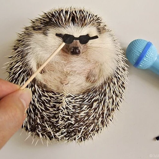 Стикер Ёжик-Пак - 2