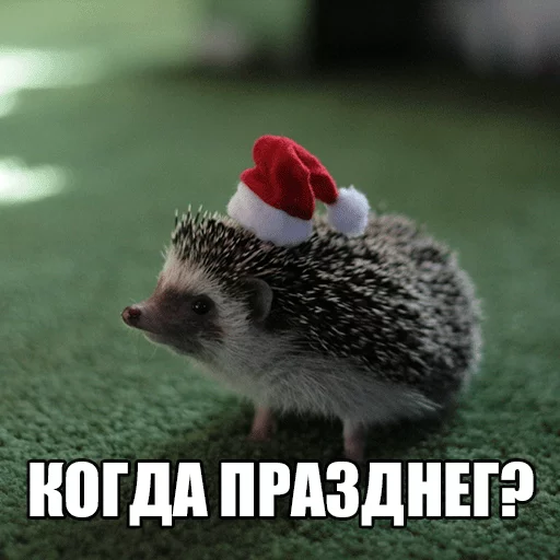 Стикер Ёжик-Пак - 1