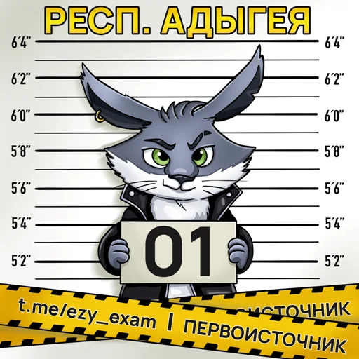 Все регионы @ezy_exam - 