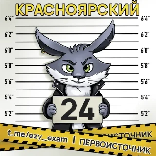 Sticker Все регионы @ezy_exam - 10