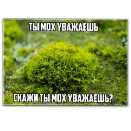 Sticker f1ae4be9_63f6_4798_94ab_ebff77fe70b9_by_sticat_bot - 1