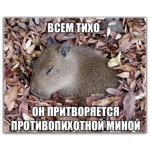 Sticker f1ae4be9_63f6_4798_94ab_ebff77fe70b9_by_sticat_bot - 1