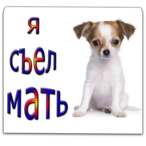 Sticker f1ae4be9_63f6_4798_94ab_ebff77fe70b9_by_sticat_bot - 1