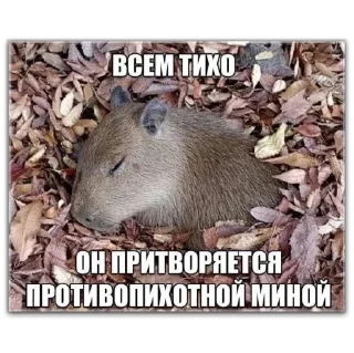 Sticker Важное от @reggieloy - 4