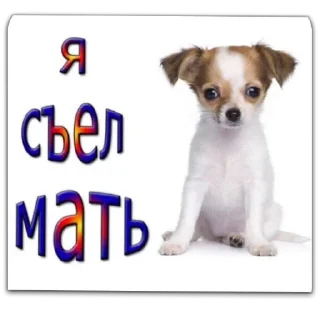 Sticker Важное от @reggieloy - 3