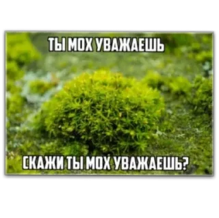 Sticker Важное от @reggieloy - 8