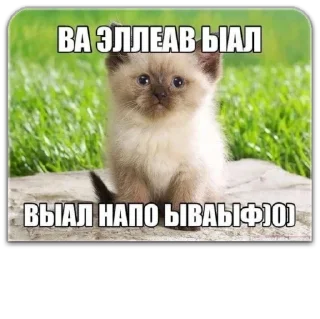 Sticker Важное от @reggieloy - 10