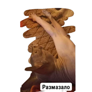 Sticker XIAOMAO III - 8