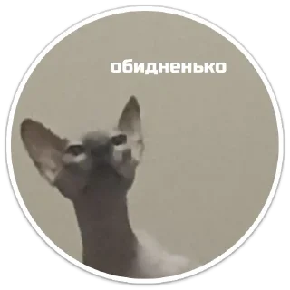 Sticker XIAOMAO III - 9