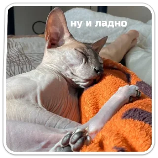 Sticker XIAOMAO III - 1