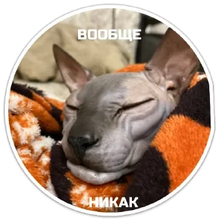 Sticker XIAOMAO III - 3