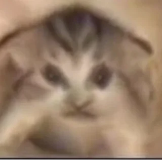 Стикер Нави группа по бс - 7