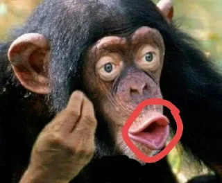 Стикер @f4kts - Интересные Факты - 6