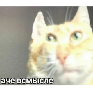 Sticker Н.С.В.П - 4