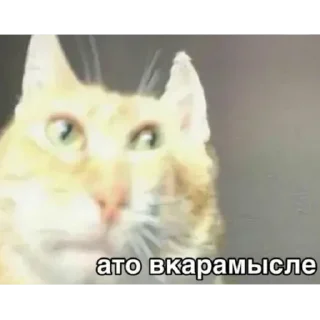 Sticker Н.С.В.П - 6