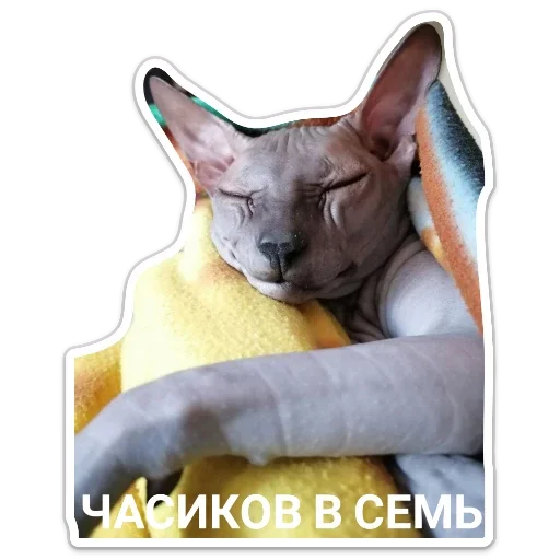 Стикер f540470e_e169_4033_ad6f_df43131a778f_by_sticat_bot - 1