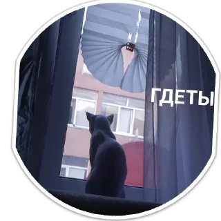 Стикер Mr. Hayao Xiao Mao by @sticat_app - 9