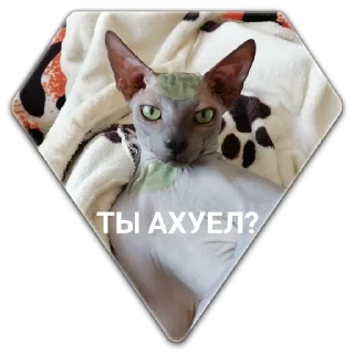 Стикер Mr. Hayao Xiao Mao by @sticat_app - 11