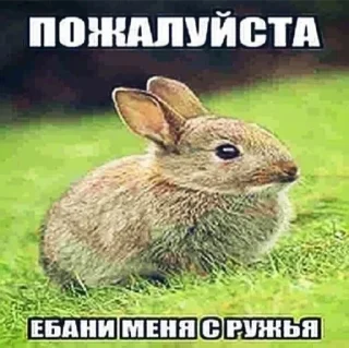 Стикер Стикеры для даунов - 10