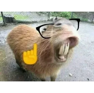 Стикер Стикеры для даунов - 11