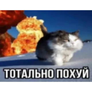 Стикер Стикеры для даунов - 0