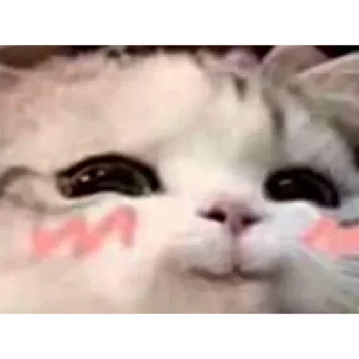 Sticker f8p2o2_by_EmojiRuBot - 1