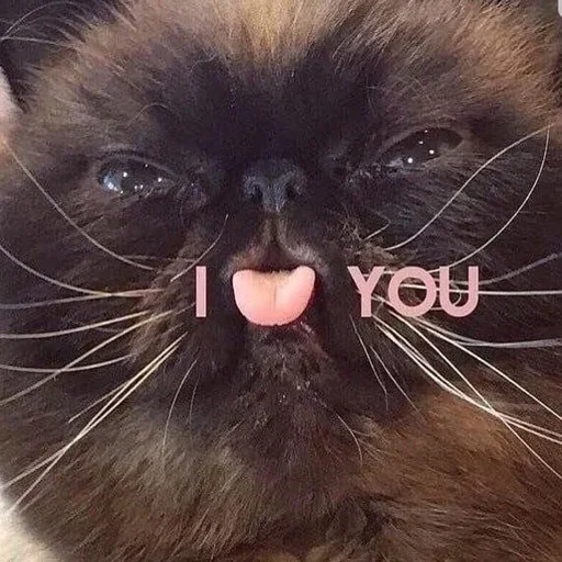 Sticker f8p2o2_by_EmojiRuBot - 1