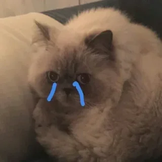 Стикер Создать стикеры 👉🏻 @EmojiRuBot - 3