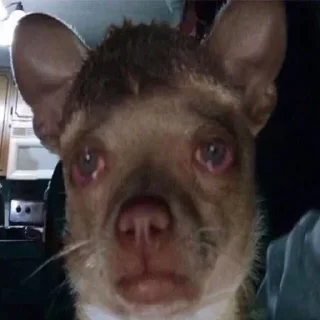 Стикер Создать стикеры 👉🏻 @EmojiRuBot - 4