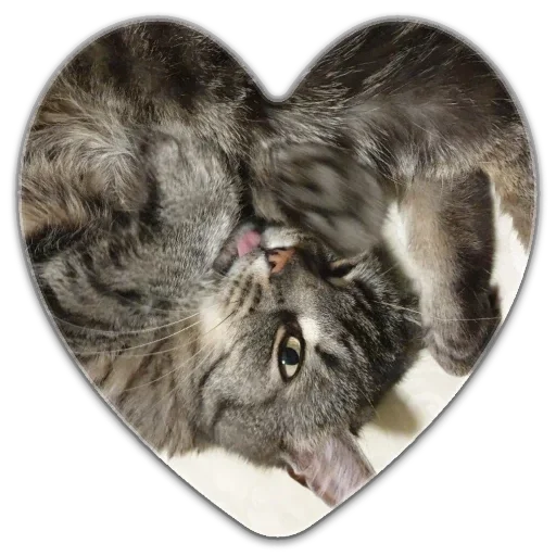 Sticker f945fb67_7e90_4f66_98e4_875458699d77_by_sticat_bot - 1