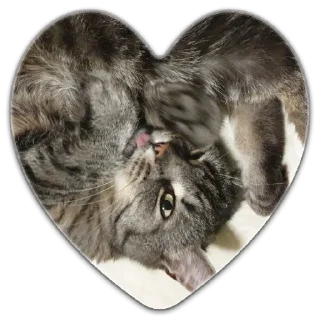 Стикер гроздь - 1