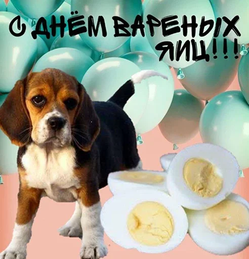 Больше стиков тут: @stikery4 - 