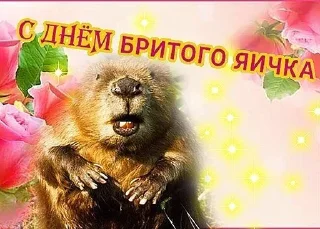 Стикер Больше стиков тут: @stikery4 - 9