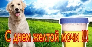 Стикер Больше стиков тут: @stikery4 - 6