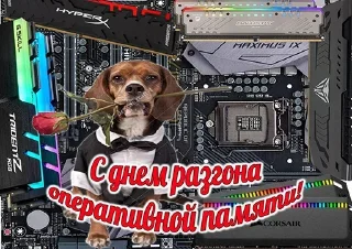 Стикер Больше стиков тут: @stikery4 - 8