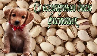 Стикер Больше стиков тут: @stikery4 - 7