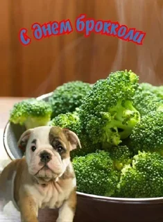 Стикер Больше стиков тут: @stikery4 - 11