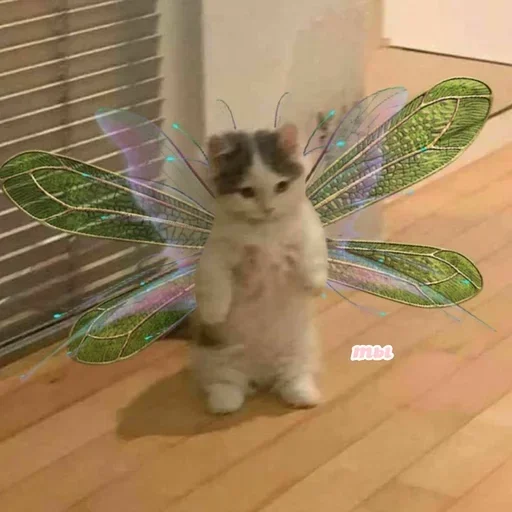 Sticker fARUeLP_by_achestickbot - 1