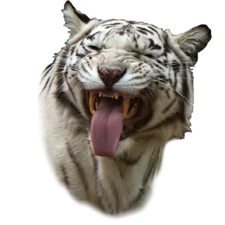 Sticker Больше стиков тут: @stikery4 - 4