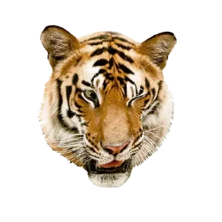 Sticker Больше стиков тут: @stikery4 - 7