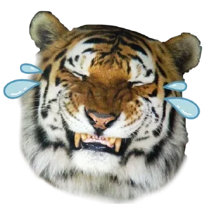 Sticker Больше стиков тут: @stikery4 - 11