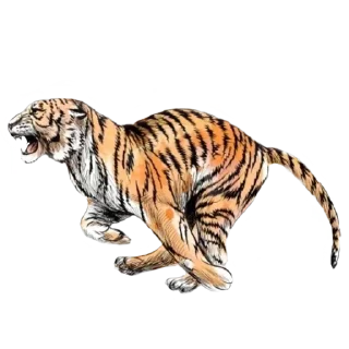 Sticker Больше стиков тут: @stikery4 - 3